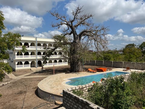 Garden, Pool view, Swimming pool, sunbed