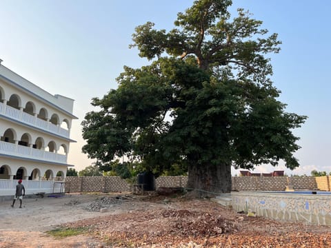 Jo's Baobab Luxury Apartments Apartment in Diani Beach