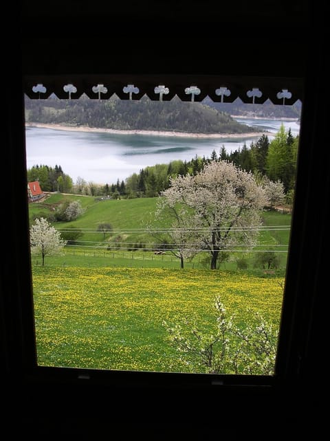 Spring, View (from property/room)