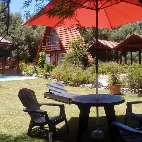 Patio, Spring, Garden view