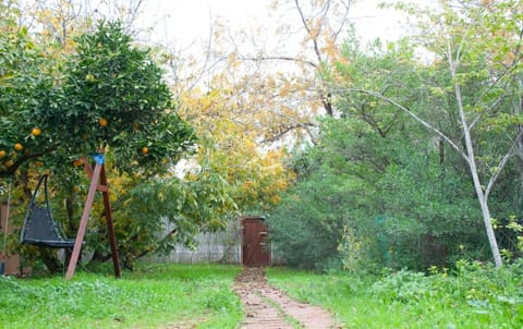 Garden, Garden view