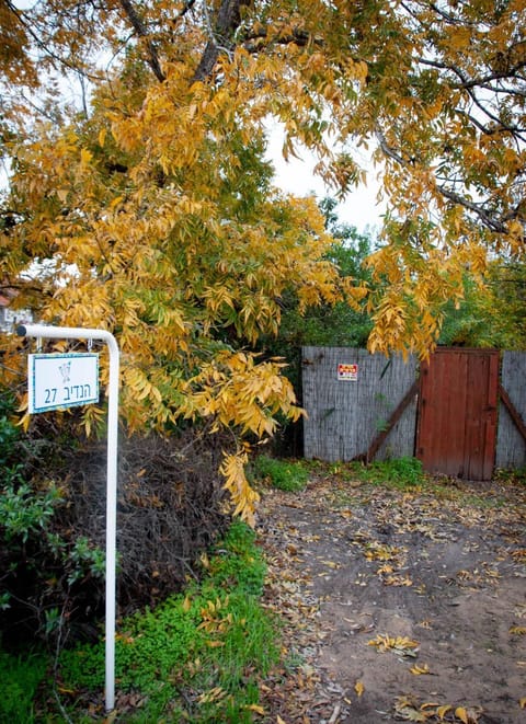 Garden, Garden view