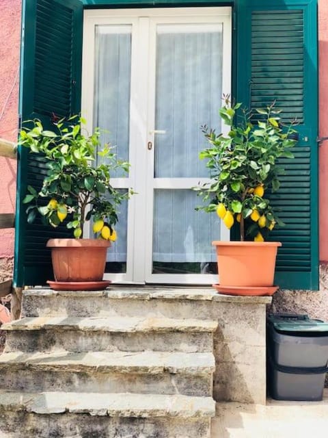 Amazing flat at the heart of 5 Terre National Park Apartment in Cinque Terre