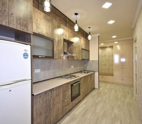 Kitchen or kitchenette, minibar, oven, stove