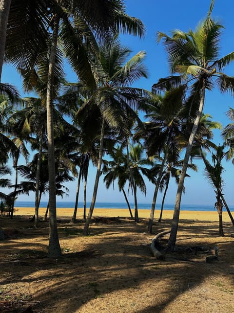 Day, Natural landscape, Garden, Beach, Sea view