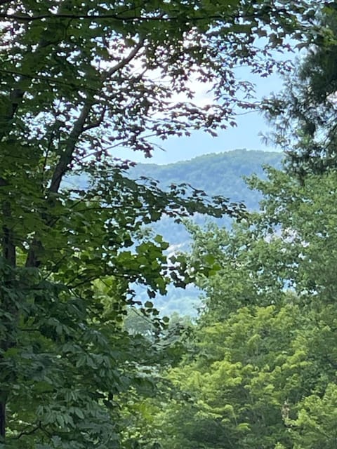 Nees Nest House in Lake Lure