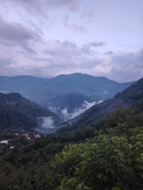 One Night Bed and Breakfast in Adjara, Georgia