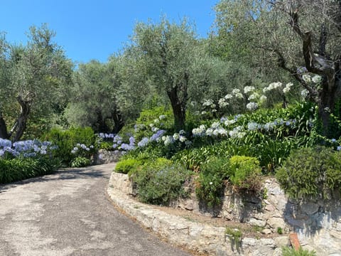 Garden, Garden view