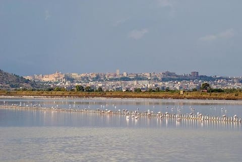 Su Foghile Apartment in Quartu Sant'Elena