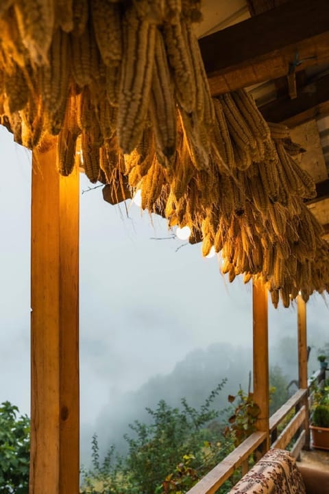 Natural landscape, View (from property/room), Balcony/Terrace, Mountain view