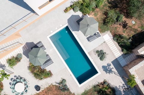 Garden, Garden view, Swimming pool