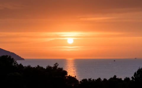 Natural landscape, Sea view, Sunset