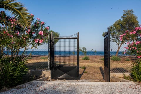 Natural landscape, Beach, Sea view