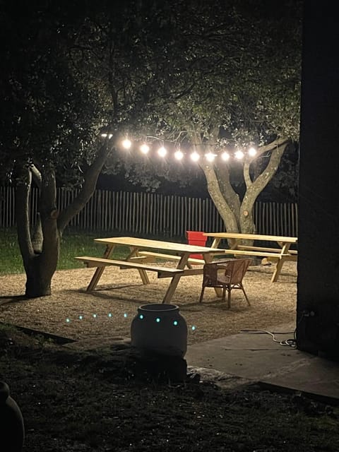 Patio, Night, Garden