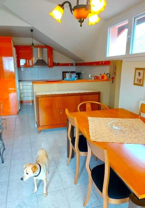 Rosa's house Apartment in Pieria, Greece