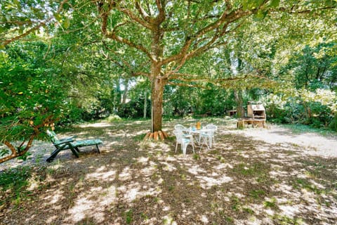 Patio, Garden, Garden view