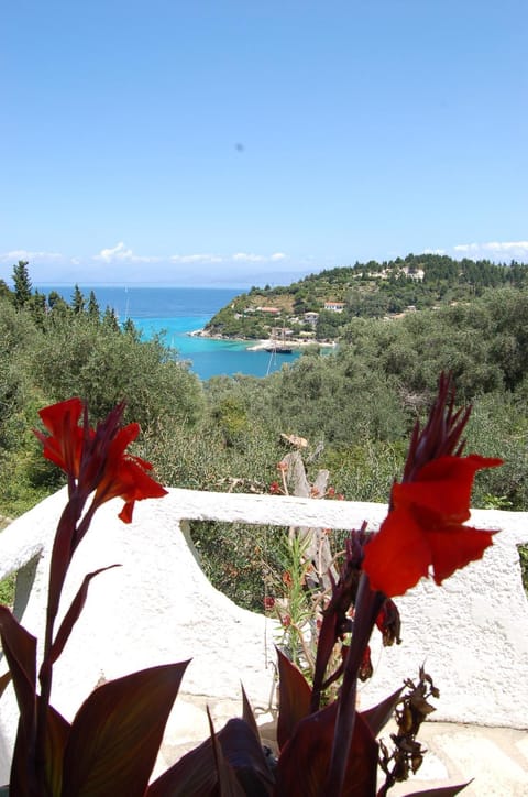 Kanoni Beach Apartments Condo in Peloponnese, Western Greece and the Ionian