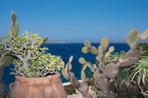 Day, Natural landscape, Sea view