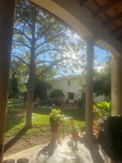 Patio, Day, Garden view