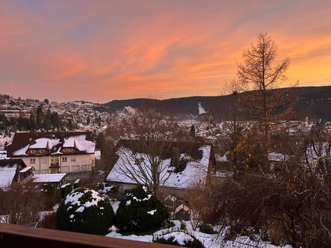 View (from property/room), Landmark view