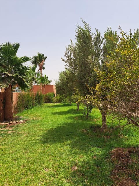 La Villa Olive Country House in Souss-Massa