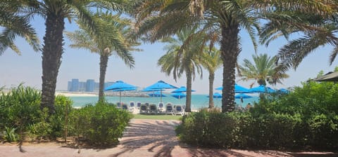 Garden, Garden, Beach, Sea view, sunbed