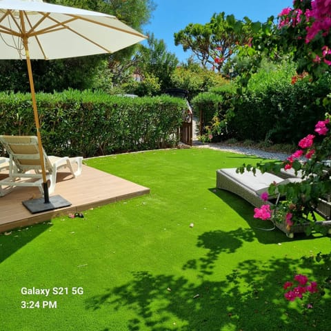 Patio, Garden, Garden view