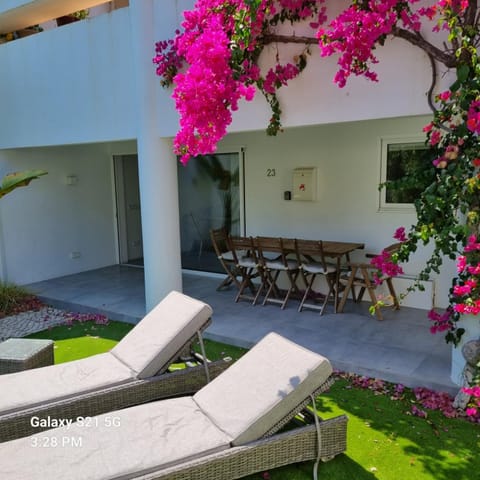 Patio, Garden, Garden view