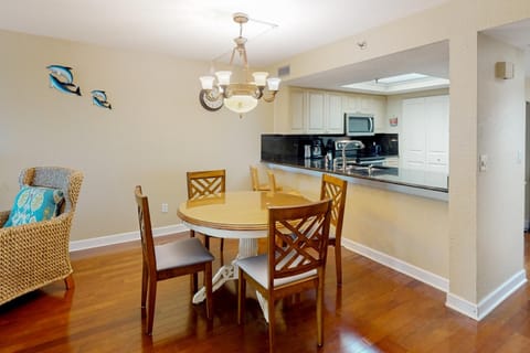 Dolphin Reef 203 Apartment in Indian Rocks Beach