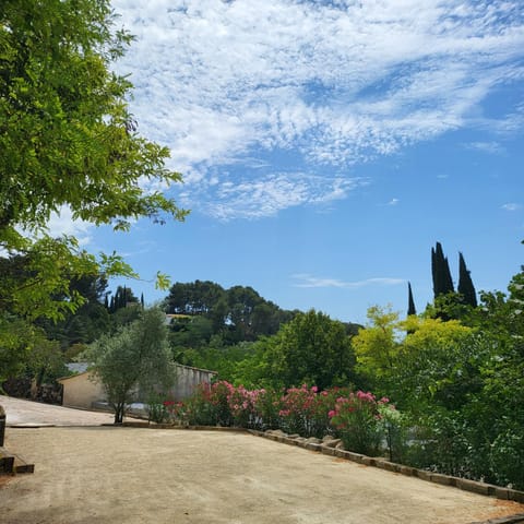 Spring, Day, Natural landscape, Garden, Garden view