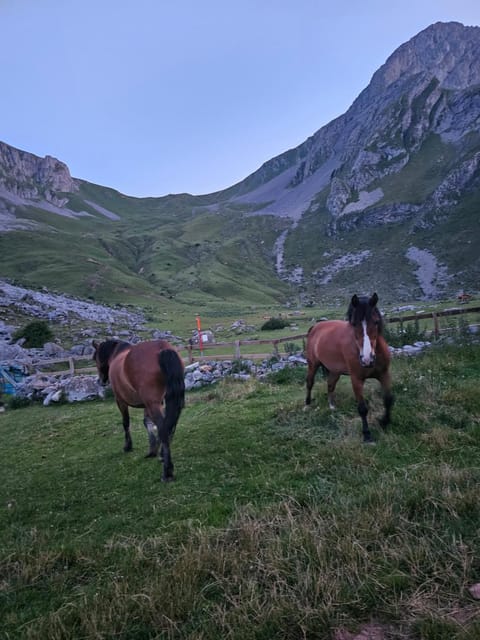 Refugio del Meicín Hostel in Asturias