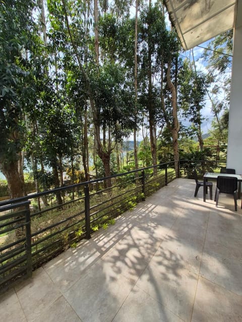 Natural landscape, Garden, Dining area