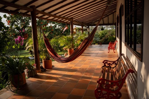 Balcony/Terrace, Garden view