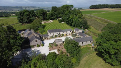 Property building, Natural landscape, Bird's eye view