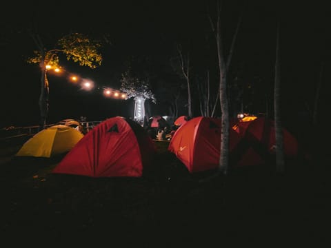 Night, People, Natural landscape, group of guests