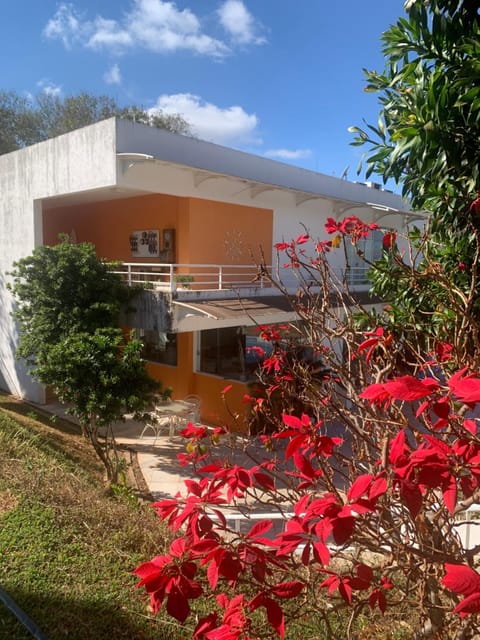 Property building, Garden view