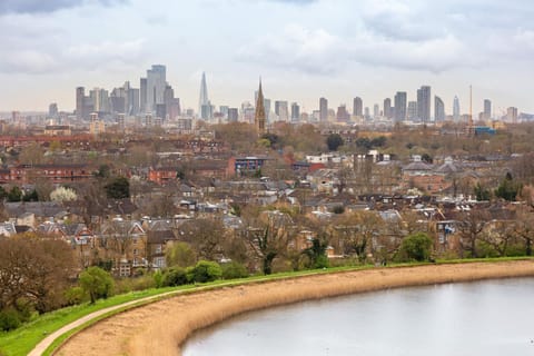 View (from property/room), City view, Lake view