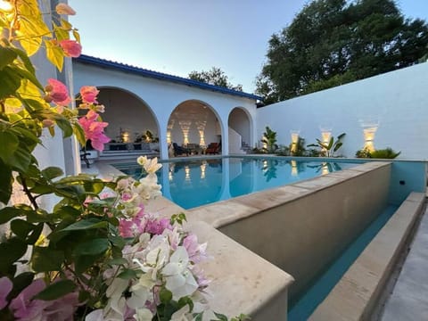 Patio, Pool view, Swimming pool, sunbed