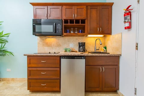 Coffee/tea facilities, Kitchen or kitchenette, minibar, stove