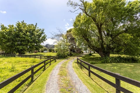 Jacaranda Lodge Bed and breakfast in Coromandel