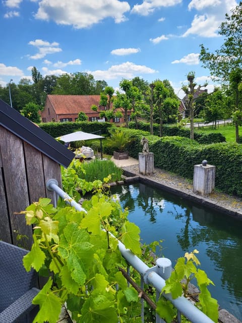 Garden, Garden view, Pool view