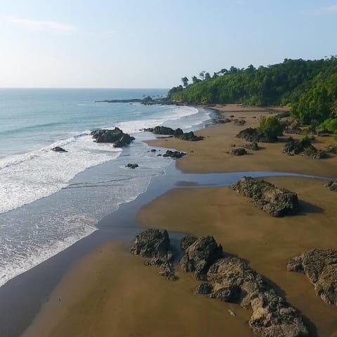 Bahía Paisa Bed and Breakfast in Choco, Colombia