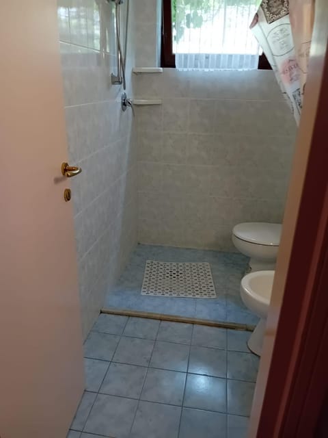 Shower, Toilet, Bathroom, bidet