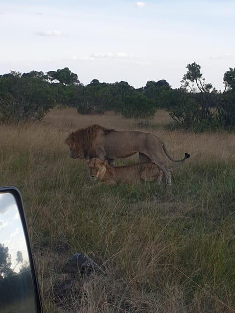 Orkiu Safari Camp Campground/ 
RV Resort in Kenya