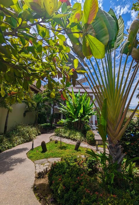 Day, Natural landscape, Garden view