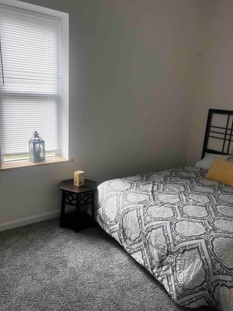 Renovated 3 bedroom for Professionals Apartment in Albany