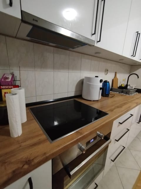 R&S Apartman Apartment in Dubrovnik-Neretva County