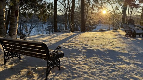 Winter, View (from property/room), River view