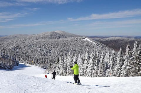 Winter, Skiing