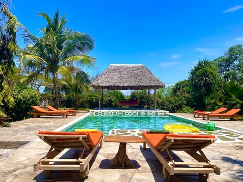 Day, Pool view, Swimming pool, sunbed